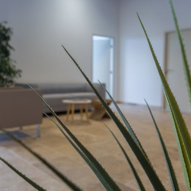 Aviation d'affaires et privée