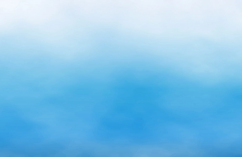 Commission Consultative de l'Environnement